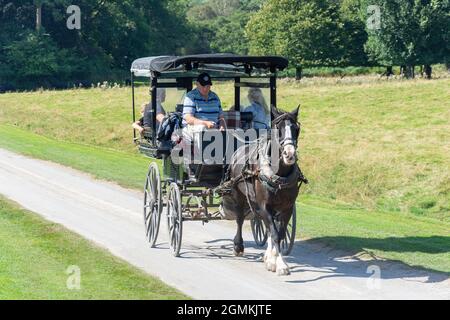 Giro in carrozza a cavallo alla casa di Muckross 19 ° secolo, il Parco Nazionale, Killarney (Cill Airne), County Kerry, Repubblica d'Irlanda Foto Stock