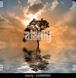 Paesaggio etereo. Albero in raggi di luce solare. Rendering 3D. Foto Stock