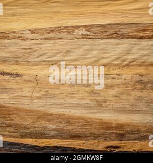 Thai banana carta sfondo, Banana Plank carta è creato mettendo grandi foglie di banana insieme e di sostegno con cheesecloth. Foto Stock