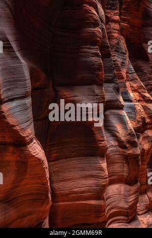Vernice del deserto una pinna di Orange Rocks in Buckskin Gulch Foto Stock