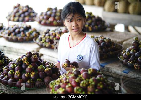 Bel mangosteen nella provincia di ben tre nel Vietnam meridionale Foto Stock