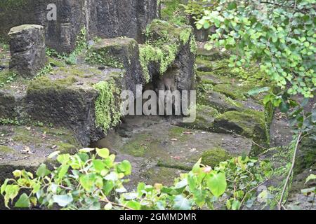 1500 anni BUDDISTA JOGESHWARI GROTTE, Maharashtra, mumbai, india Foto Stock