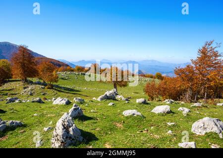 Vista dalla Serra di Crispo in autunno, Parco Nazionale del Pollino, Montagne Appenniniche meridionali, Italia. Foto Stock