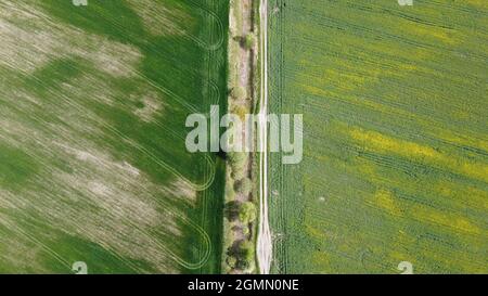 Strada sterrata lungo il canale di melorazione abbandonato. Terreno agricolo, vista aerea. Foto Stock
