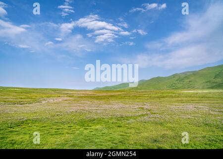 Passo di montagna nelle province di Shirak e Lori in Armenia Foto Stock