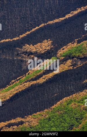 Fuoco a Jubrique, al confine con Sierra Bermeja nella Valle Genal, Malaga. Andalusia, Spagna. Settembre 2021 Foto Stock