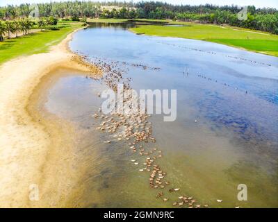 Vita quotidiana nella provincia di Binh Dinh Vietnam centrale Foto Stock