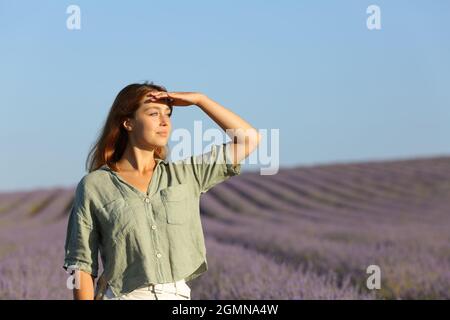 Donna felice che contempla il campo di lavanda che protegge dal sole con la mano Foto Stock