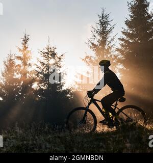 Silhouette di giovane uomo in costume da bicicletta in bicicletta in foresta illuminata dalla luce del sole del mattino. Biciciclista pedalando giù collina erbosa al mattino. Concetto di sport, ciclismo e attività ricreative. Foto Stock