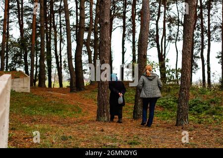 Defocus vista posteriore di due donne che camminano nella pineta. Stagione di raccolta funghi, divertimento e concetto di gente, madre e figlia a piedi nella foresta autunnale Foto Stock