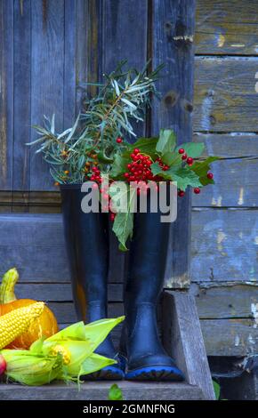 Stivali di gomma nera con bouquet di rami con bacche autunnali si trovano sul portico in legno accanto a zucche e mais brillanti. Foto Stock