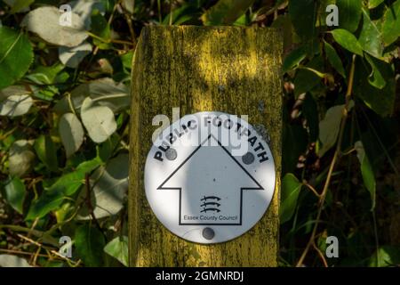 Cartello per il sentiero pubblico su un roundel con freccia su sfondo bianco montato su un palo di legno che punta dritto. Foto Stock