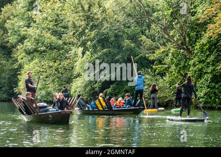 Stochrekähne auf dem Neckar in Tübingen, Baden-Württemberg, Germania, Europa Foto Stock