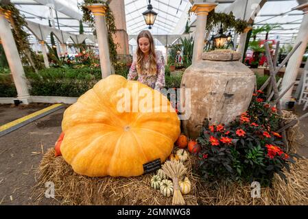 Londra, Regno Unito. 20 settembre 2021. Una donna vede una zucca gigante da 800 libbre, coltivata da ben White, nel Great Pavilion al RHS Chelsea Flower Show. Annullato a causa di problemi Covid-19 l'anno scorso, questa è la prima volta che lo spettacolo si svolge nel mese di settembre (di solito maggio). Lo spettacolo si svolge fino al 26 settembre presso il Royal Hospital Chelsea. Credit: Stephen Chung / Alamy Live News Foto Stock