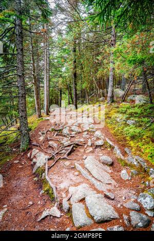 Sentiero escursionistico lungo il laghetto lungo nel Parco Nazionale di Acadia nel Maine Foto Stock