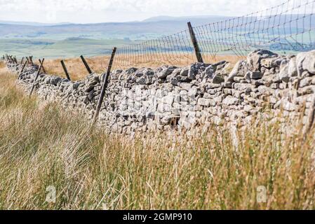 Tipico muro di pietra a secco appena sotto Pen-y-Ghent nel North Yorkshire Foto Stock