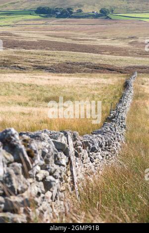 Tipico muro di pietra a secco appena sotto Pen-y-Ghent nel North Yorkshire Foto Stock