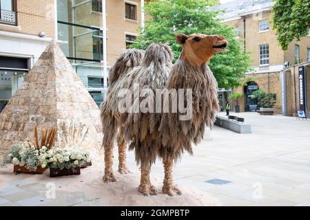 Londra, 20 settembre 2021: Le strade di Chelsea vengono decorate con esposizioni floreali per il Chelsea anuuale in Bloom Foto Stock