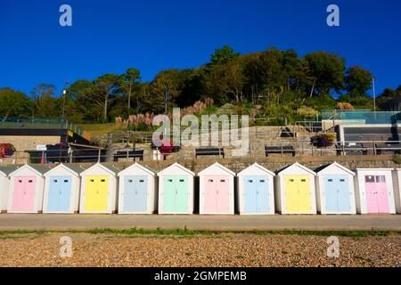 Colourful Beach Huts sulla linea costiera di Lyme Regis sul mare inglese South Coast Foto Stock