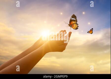 La ragazza libera la farfalla dal concetto di momento di libertà Foto Stock