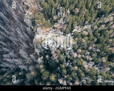 Un albero con una montagna sullo sfondo Foto Stock