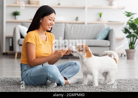 Donna asiatica felice scattando la foto del suo cane carino Foto Stock