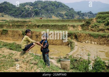 Sapa, Vietnam - 14 aprile 2016: Ragazza e ragazzo a piedi con bufala sul campo di riso. I bambini vietnamiti nel villaggio hanno il dovere di prendersi cura di fare Foto Stock