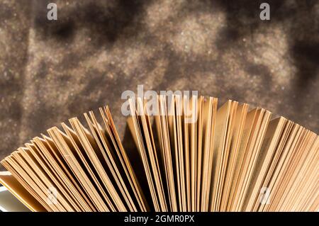 Un libro aperto sullo sfondo glittery nel caldo sole del pomeriggio Foto Stock