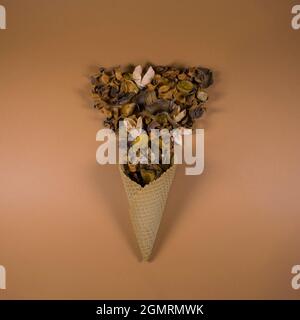 Layout piatto con cono gelato e arance secche, pesca, noci, nocciole e fiori. Vista dall'alto. Su un trendy sfondo marrone pastello. Astratto minimo Foto Stock