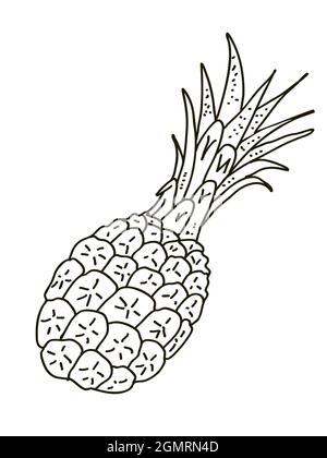 Illustrazione dell'ananas disegnata a mano con vettore. Ananas doodle Illustrazione Vettoriale