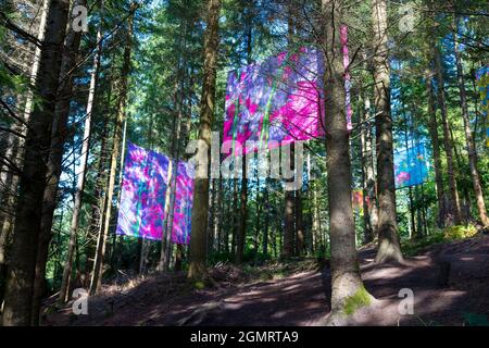 Sentiero di Sluplture temporanea Foresta di Dean Gloucestershire. Foto Stock