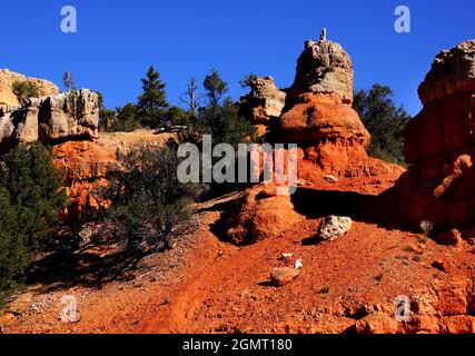 Red Canyon lungo l'autostrada 12 vicino al Bryce Canyon National Park, Dixie National Forest, Utah, USA, Nord America Foto Stock