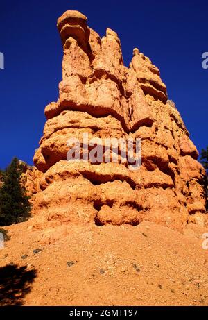 Red Canyon lungo l'autostrada 12 vicino al Bryce Canyon National Park, Dixie National Forest, Utah, USA, Nord America Foto Stock