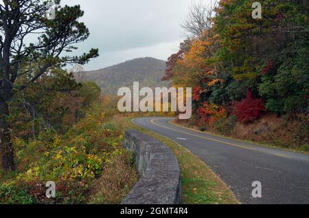 Curva strada di montagna in autunno attraverso la foresta Foto Stock