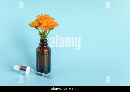 Olio essenziale in flacone contagocce marrone aperto con pipetta in vetro sdraiata e calendula con fiori arancioni su sfondo blu. Concept naturale biologico di bellezza cos Foto Stock