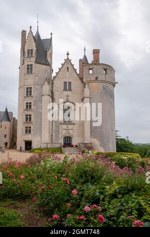 Montreuil-Bellay castello (12 ° - 15 ° secolo), Loire-Anjou-Touraine Parco Naturale Regionale, Valle della Loira, Maine-et-Loire, Francia Foto Stock