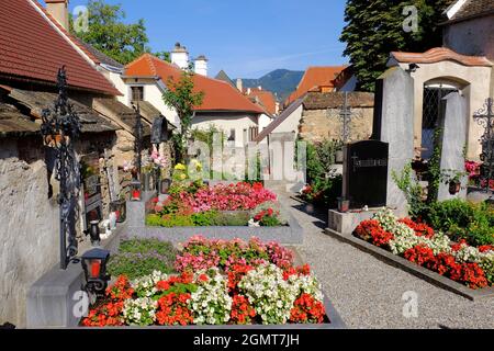 Cimitero sopraelevato con lapidi e fiori subito dopo l'alba a Durnstein sul Danubio a Wachau, bassa Austria Foto Stock