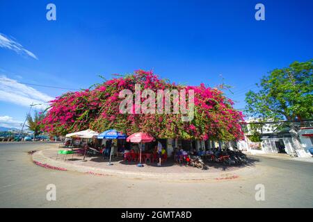 Ke GA spiaggia nella provincia di Binh Thuan Vietnam meridionale Foto Stock