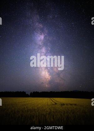 Campo di grano e Via Lattea Foto Stock