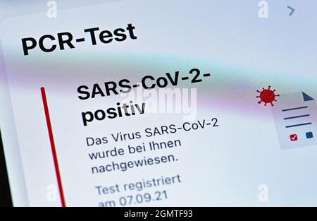 Sieversdorf, Germania. 17 settembre 2021. Il display dell'app Corona Alert sul telefono mostra un test PCR positivo e il rilevamento del virus SARS-COV-2. Credit: Patrick Pleul/dpa-Zentralbild/ZB/dpa/Alamy Live News Foto Stock