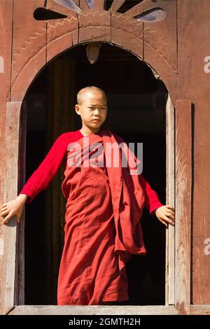 Lago Inle, Myanmar - 1 febbraio 2013; un ragazzo in colpo. Un giovane monaco tirocinante vicino alla finestra in questo bellissimo monastero costruito in teak dal panoramico lago Inle, Foto Stock
