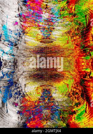 Radley, Oxfordshire, Inghilterra - 1 settembre 2018 Potete trovare la bellezza astratta o le forme interessanti appena circa dovunque, se osservate appena abbastanza duro. T Foto Stock