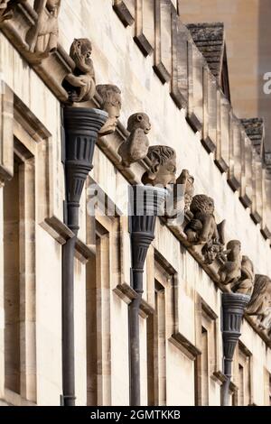 Una serie di Gargoyles ed Exotics adornano le pareti del Magdalen College di Oxford Foto Stock