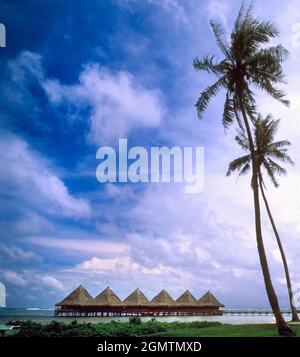 Tahiti, Polinesia Francese - Marzo 1984; Una linea di capanne sulla spiaggia di Moorea in Polinesia Francese fa un affascinante schema astratto Foto Stock