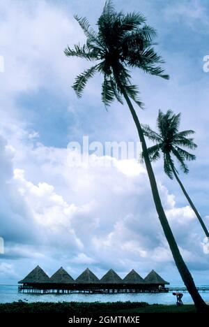 Tahiti, Polinesia Francese - Marzo 1984; Una linea di capanne sulla spiaggia di Moorea in Polinesia Francese fa un affascinante schema astratto Foto Stock
