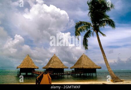 Tahiti, Polinesia Francese - Marzo 1984; Una linea di capanne sulla spiaggia di Moorea in Polinesia Francese fa un affascinante schema astratto Foto Stock