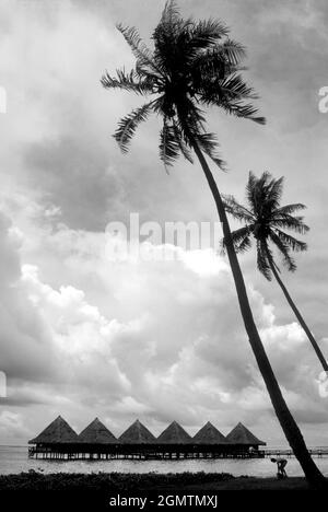Tahiti, Polinesia Francese - Marzo 1984; Una linea di capanne sulla spiaggia di Moorea in Polinesia Francese fa un affascinante schema astratto Foto Stock
