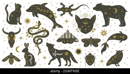 Mystic boho stregoneria Animali disegnati a mano e insetti falene. Witchcraft magico delfino, orso, lucertola, serpente e falò vettore illustrazione set Illustrazione Vettoriale