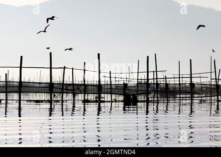 Lago Inle, Myanmar - 1 Febbraio 2013; il lago Inle è un grande e panoramico lago d'acqua dolce situato nella cittadina di Nyaungshwe dello stato di Shan, parte di Shan H. Foto Stock