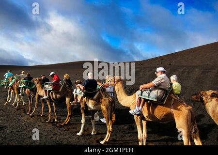 Lanzarote, Spagna - 29 Ottobre, 2012 un safari in cammello parte dal bizzarro paesaggio vulcanico di sabbia nera del Parco Nazionale di Timanfaya. Questo turista f Foto Stock